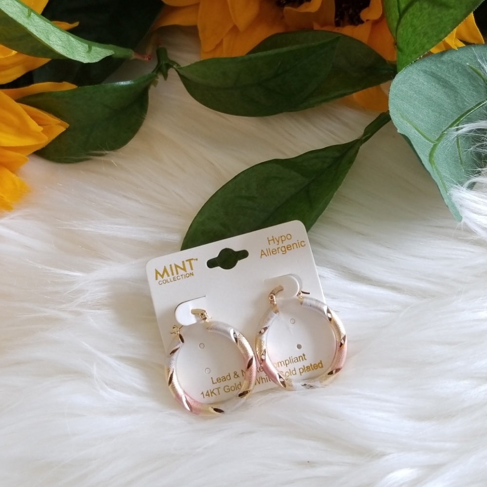 Mint Collection 14K Gold& White Gold Plated Hoop